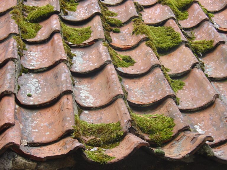 Dakreiniging moss on roof